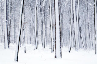 Winterspaziergang bei der Eupener Talsperre