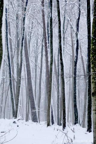 Winterspaziergang bei der Eupener Talsperre