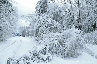 Winterspaziergang bei der Eupener Talsperre