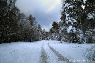 Winterspaziergang bei der Eupener Talsperre