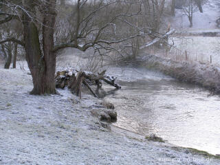 Wurm zwischen Kohlscheid und Niederbardenberg