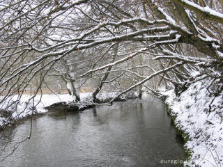 Wurm zwischen Kohlscheid und Niederbardenberg