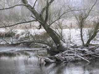 Wurm zwischen Kohlscheid und Niederbardenberg