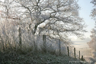 Wurmtal im Winter, südlich vom Teuterhof