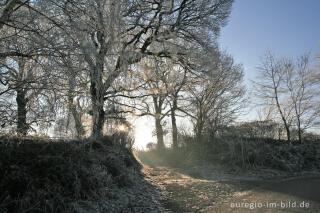 Wurmtal im Winter, südlich vom Teuterhof