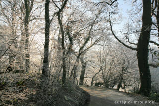 Wurmtal im Winter, südlich vom Teuterhof