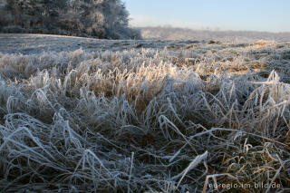 Wurmtal im Winter, südlich vom Teuterhof