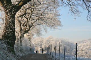 Wurmtal im Winter, südlich vom Teuterhof