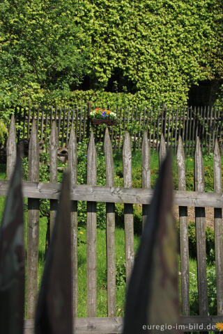 Zäune und Buchenhecke in Monschau-Höfen 