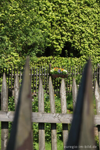 Zäune und Buchenhecke in Monschau-Höfen 