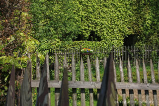 Zäune und Buchenhecke in Monschau-Höfen 