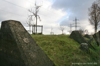 zugeschütteter Westwall mit Obstbäumen bei Herzogenrath-Klinkheide