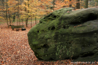 Zyklopenstein im Aachener Wald