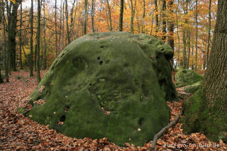 Zyklopenstein im Aachener Wald