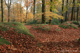 Zyklopensteine im Aachener Wald