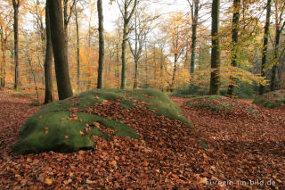 Zyklopensteine im Aachener Wald