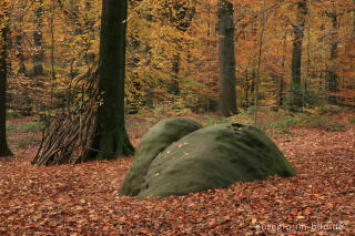 Zyklopensteine im Aachener Wald