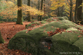 Zyklopensteine im Aachener Wald